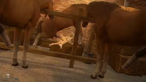 Horse anal SFM compilation