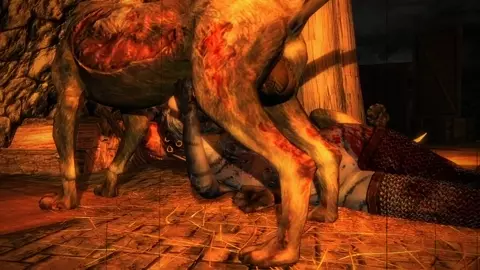 Khajiiti Teen Bred By Undead Hounds