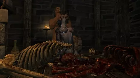 Khajiiti Teen Meets the Butcher of Windhelm