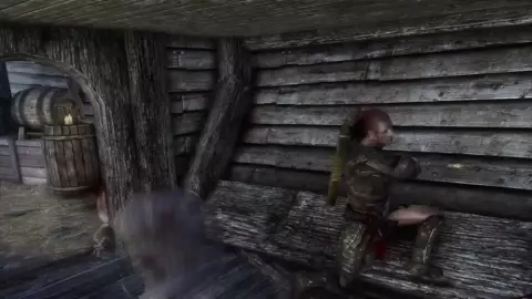 Skyrim Gangbang- Double Cross on the Ice Runner