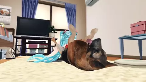 Miku plays with her dog