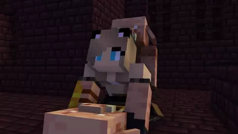 Minecraft Sex 2 Piglins