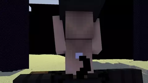 Minecraft cat girl get fucked by EnderDragon