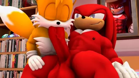 Tails x Knuckles [Wector]