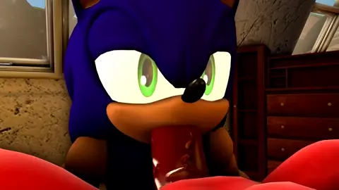 Sonic Blowjob Knuckles Part 3 [Wector]