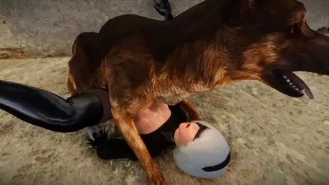 2B＆Dog bestiality mission5