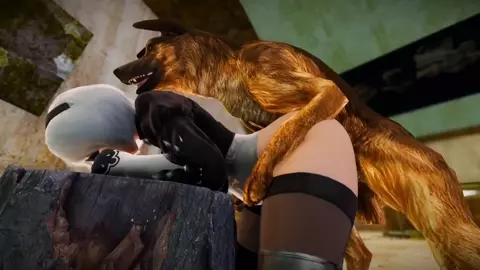 2B＆Dog bestiality mission1