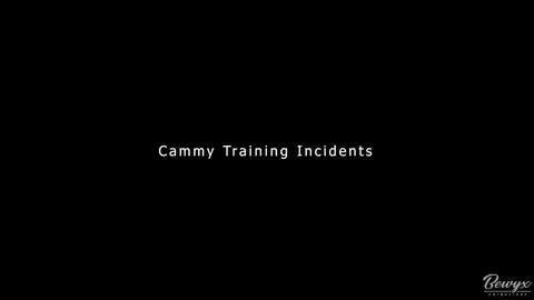 Cammy Training Incidents! [Bewyx]